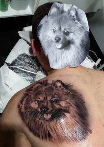 tatuajes#perros#retratos#perro#pomerania#dog#blancoynegro#tatuajes#realistas#valencia#españa#mejores#tatuajes#realismo#espalda#rgtattoostudio#rafagranelltattoo#tatuadores#valencianos#españoles#tatuador#valenciano#español#arte#inkmaster#ink#inked